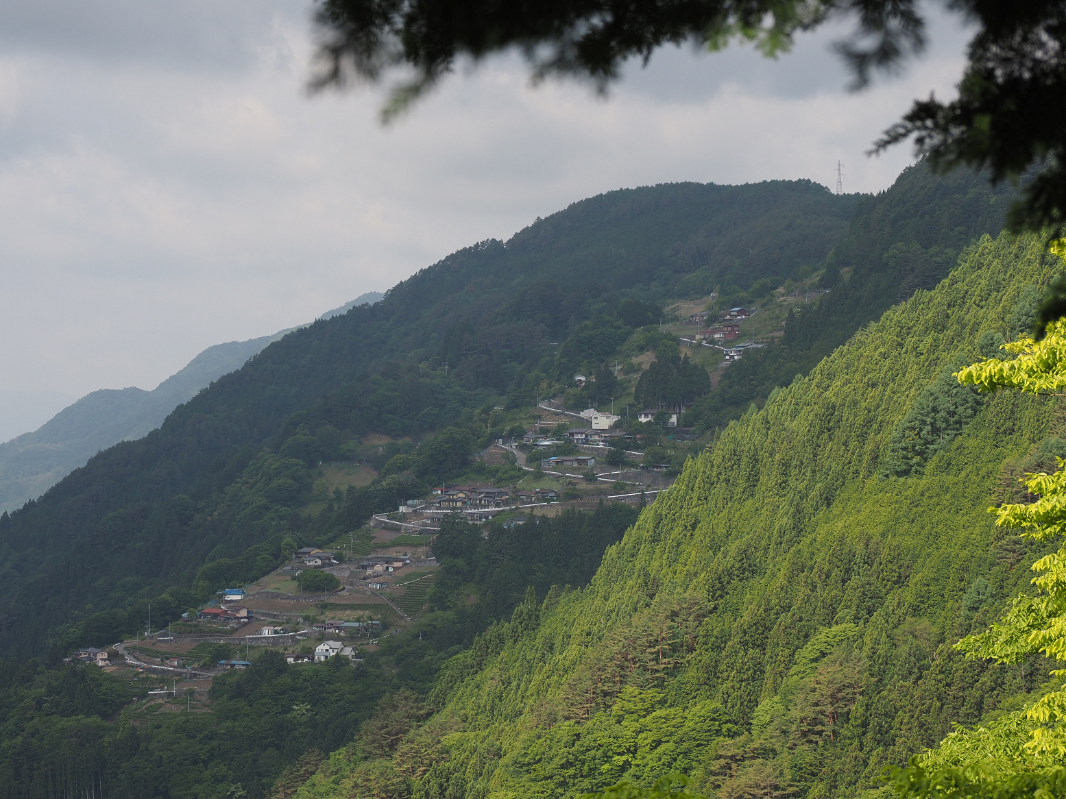P5290009.jpg