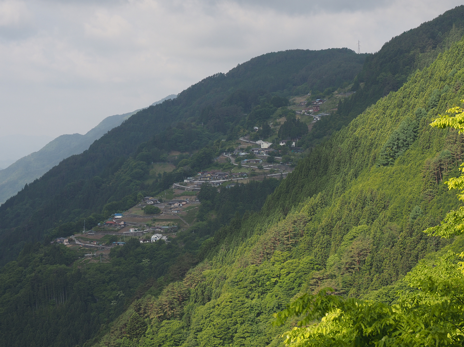 P5290010.jpg