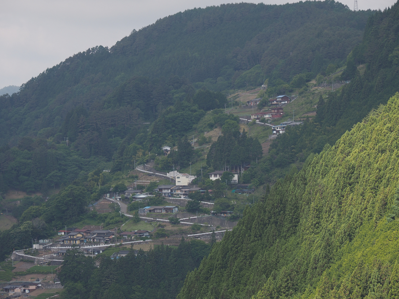 P5290011.jpg