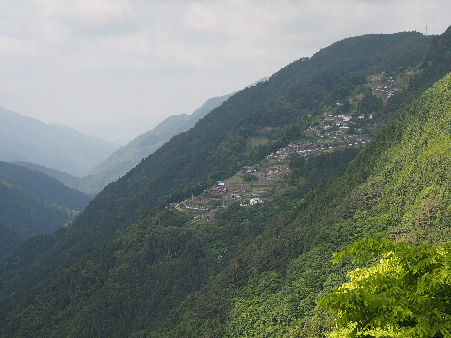 P5290012.jpg
