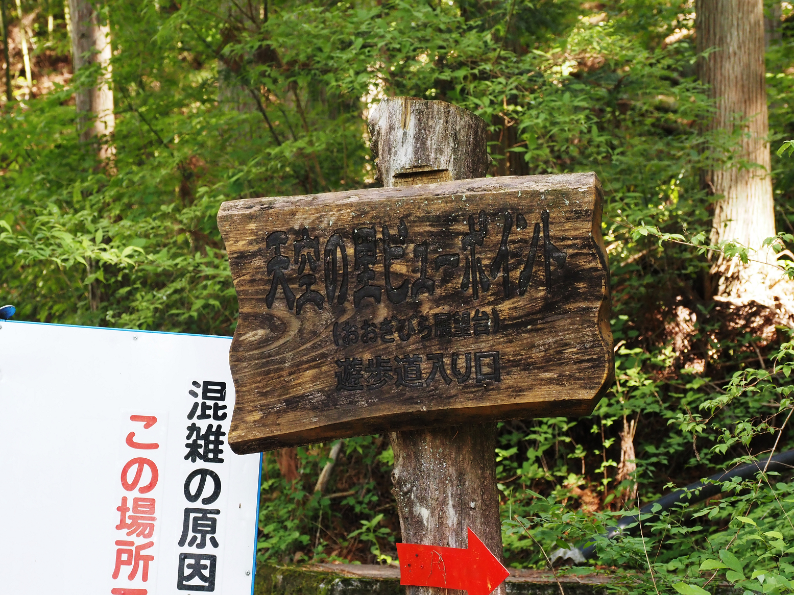 P5290031.jpg