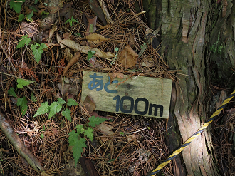 P5290049_thumb.png