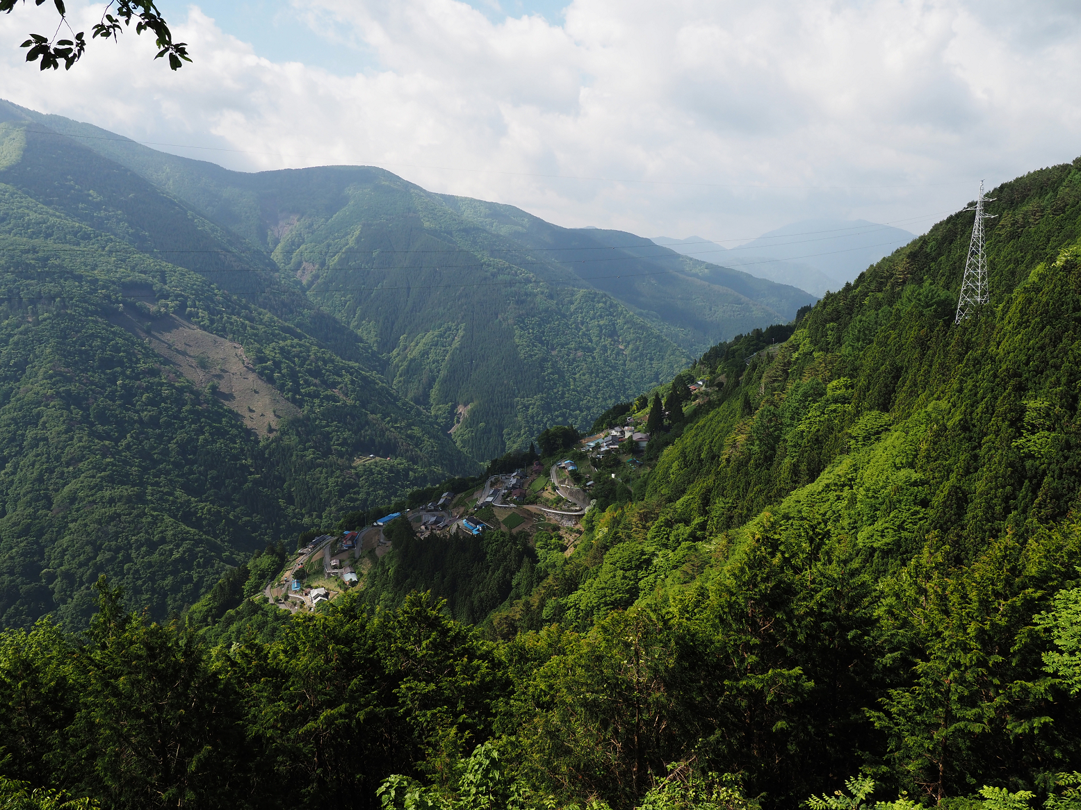P5290054.jpg