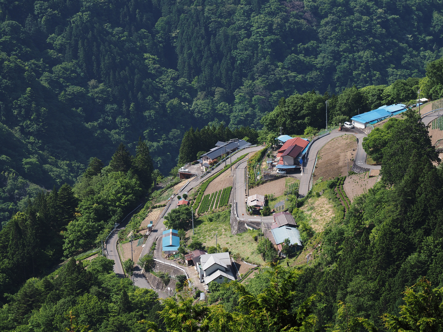 P5290056.jpg