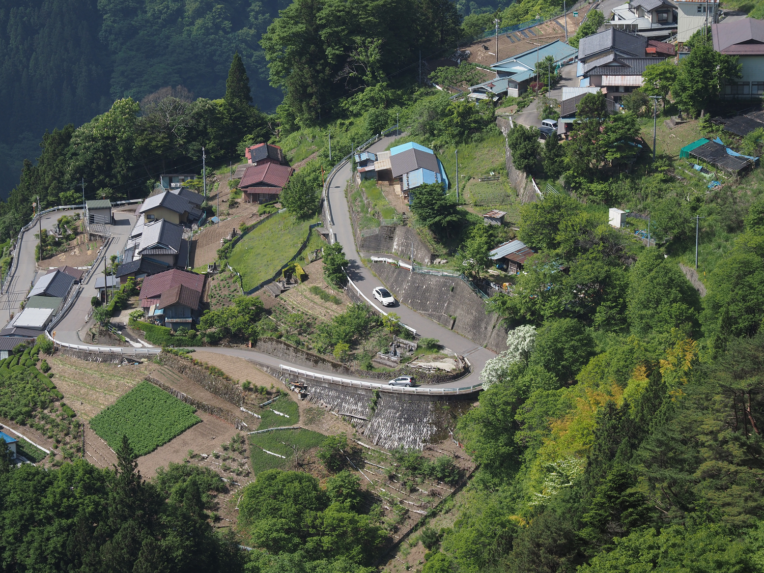 P5290062.jpg