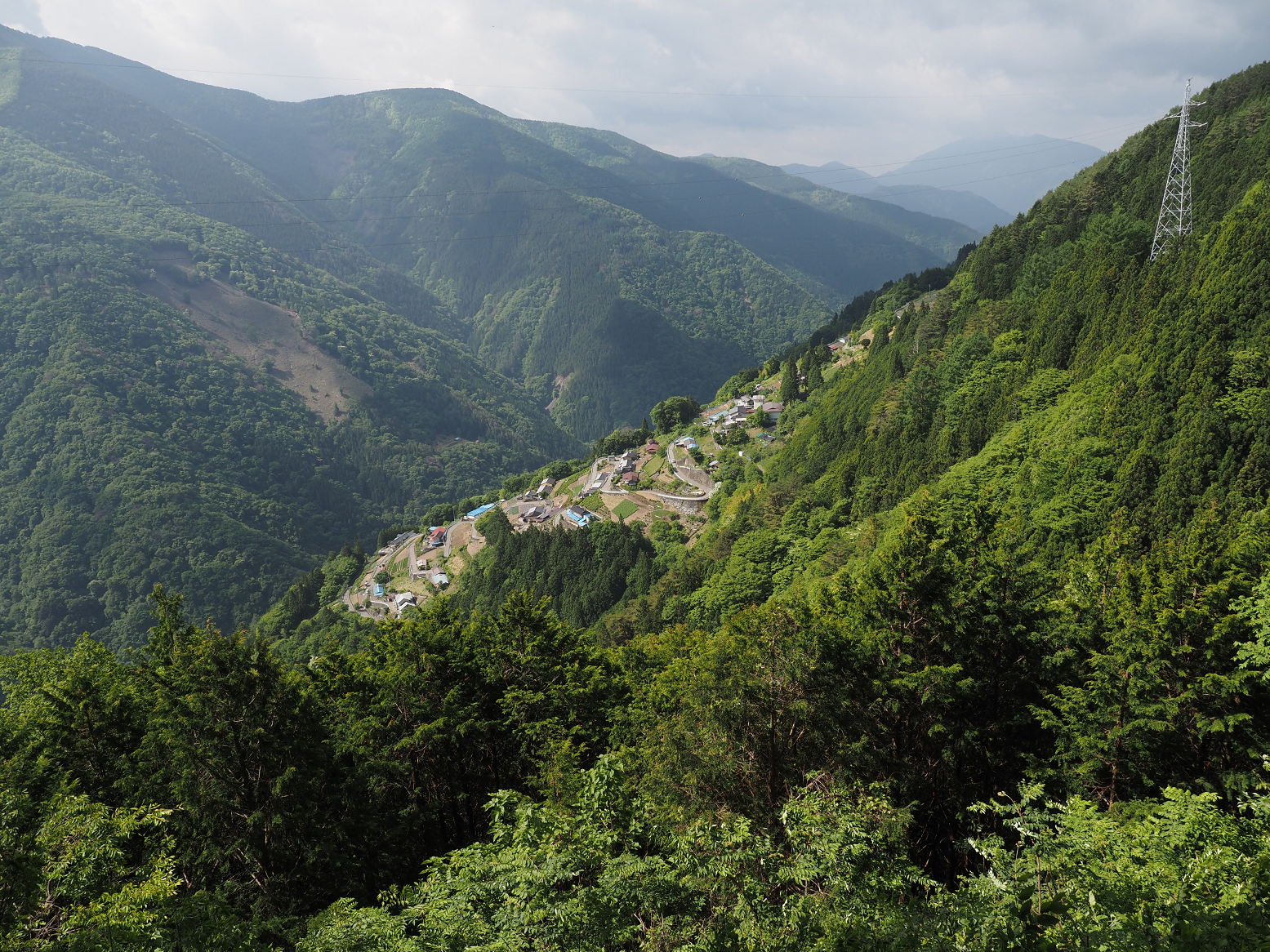 P5290067.jpg