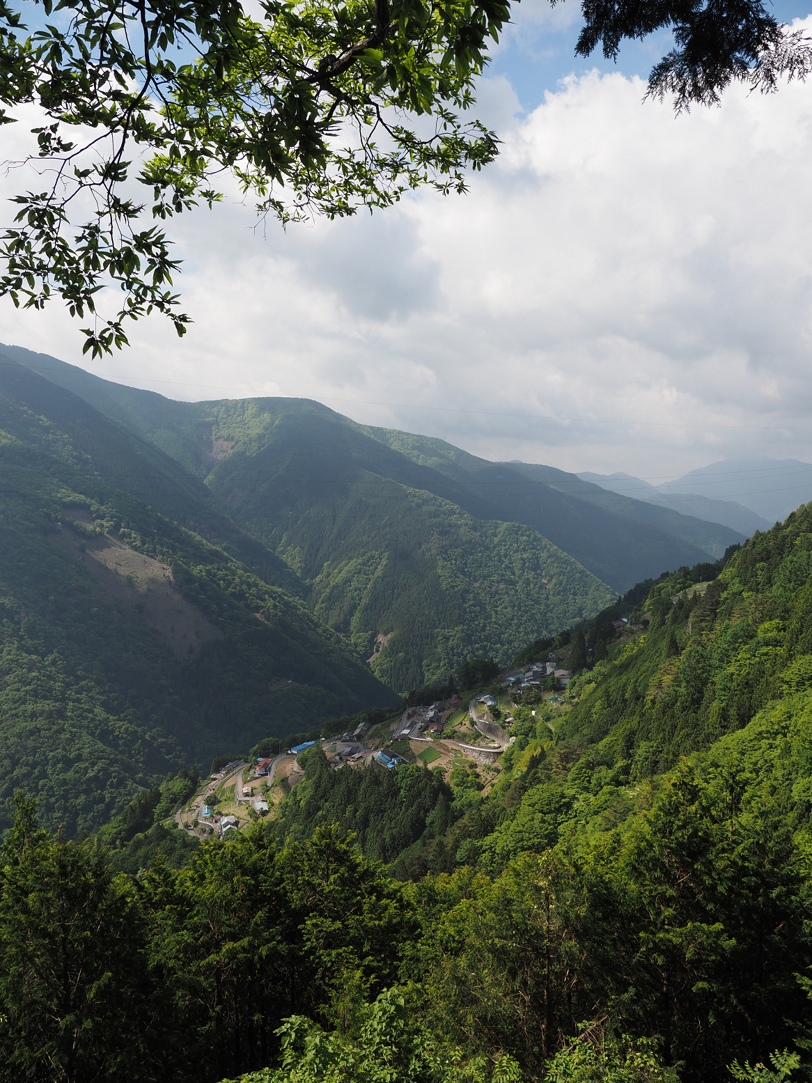 P5290069.jpg