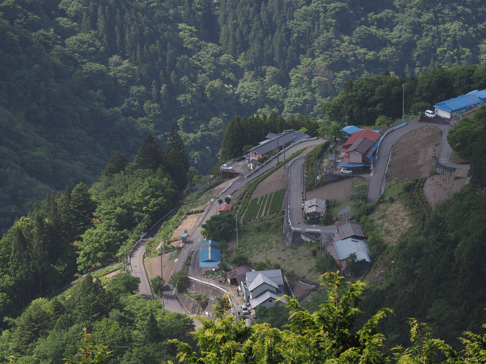 P5290072.jpg