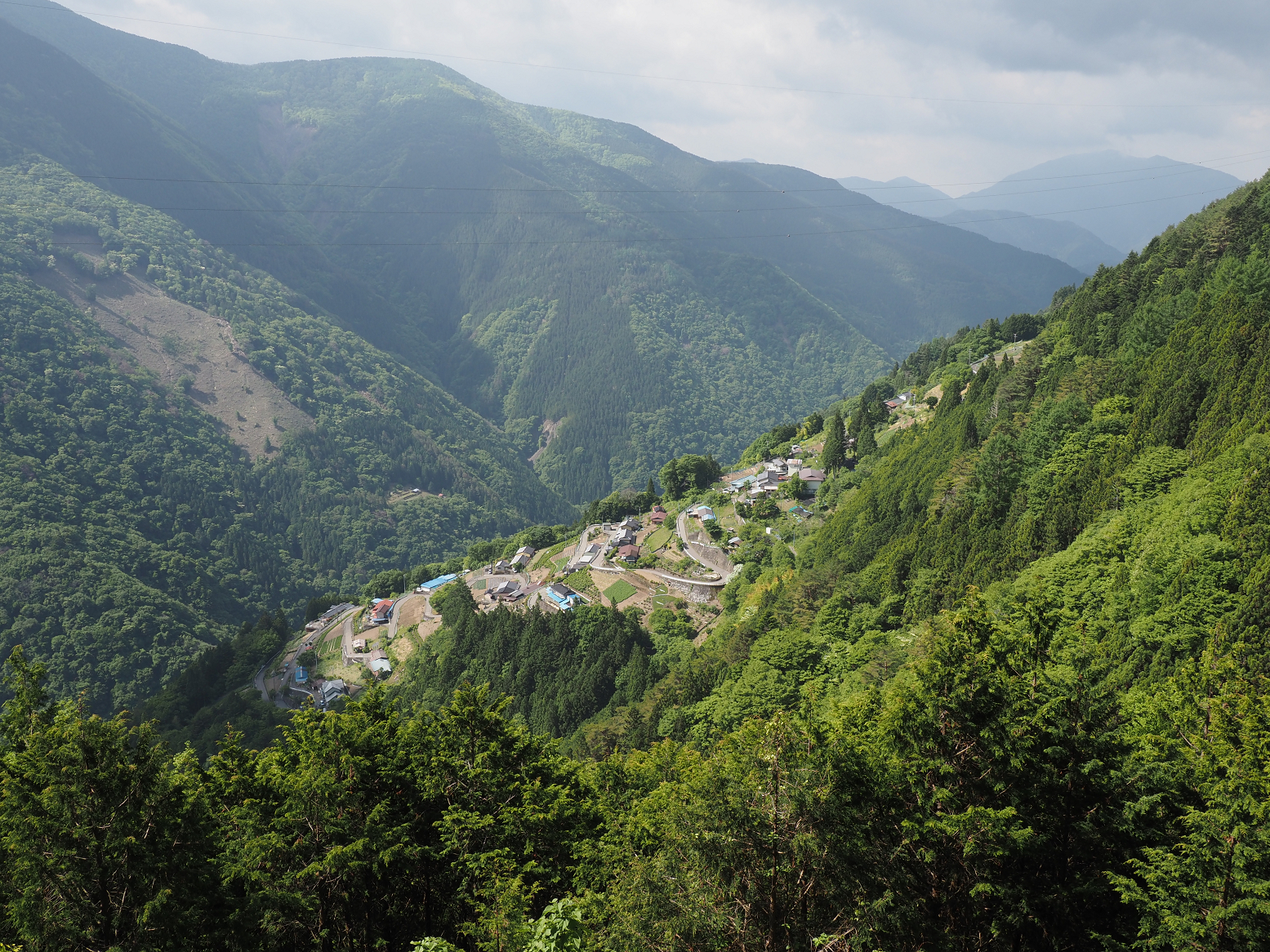 P5290075.jpg