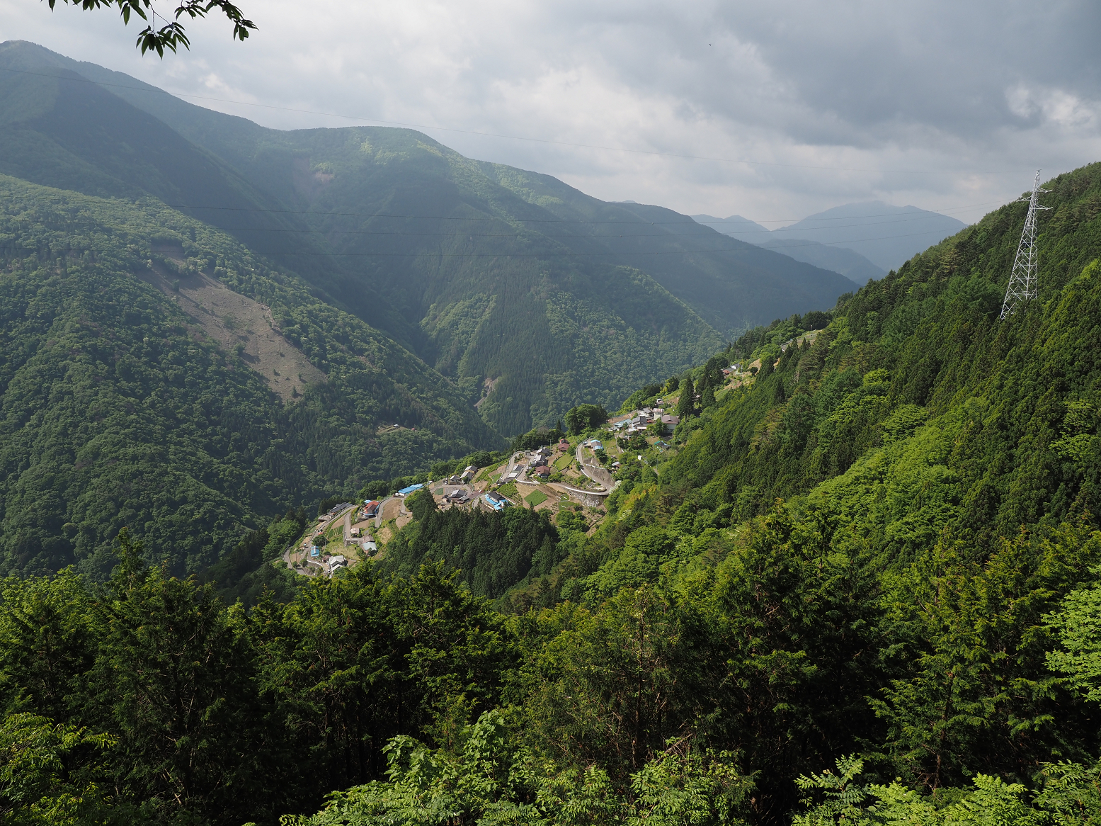 P5290076.jpg