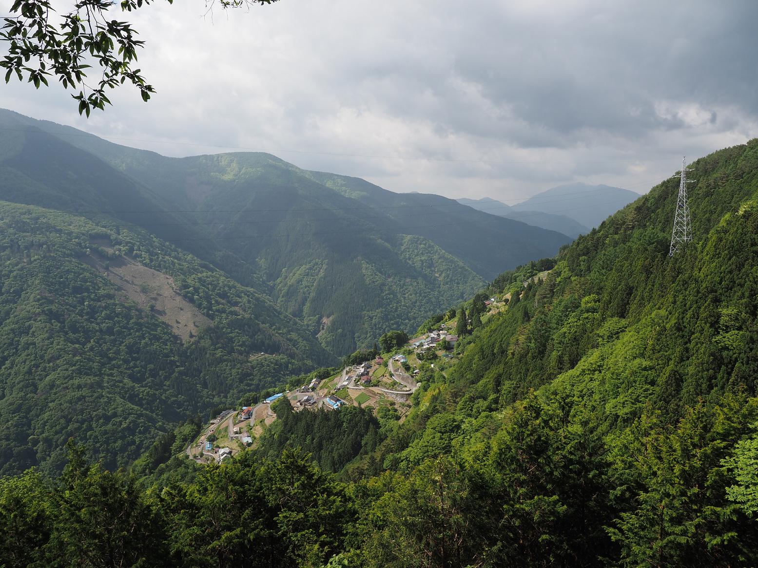 P5290077.jpg