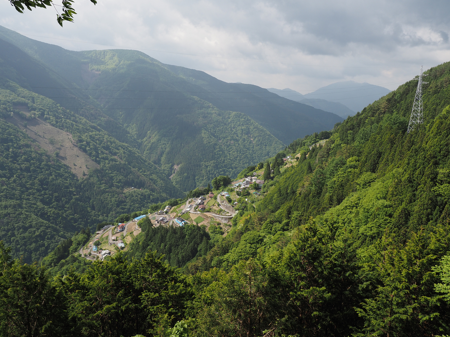 P5290081.jpg
