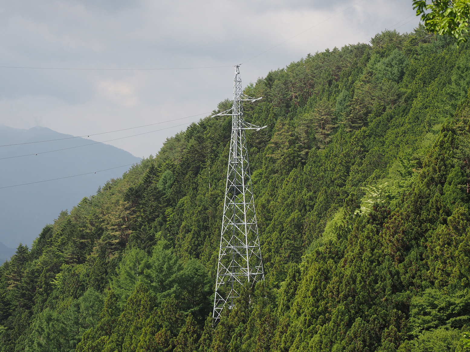 P5290082.jpg