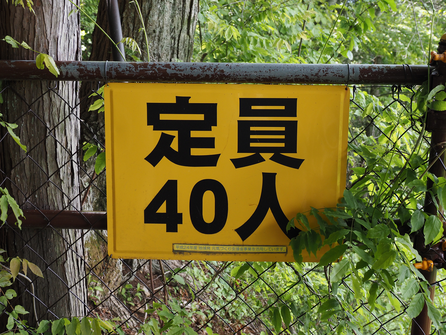 P5290083.jpg