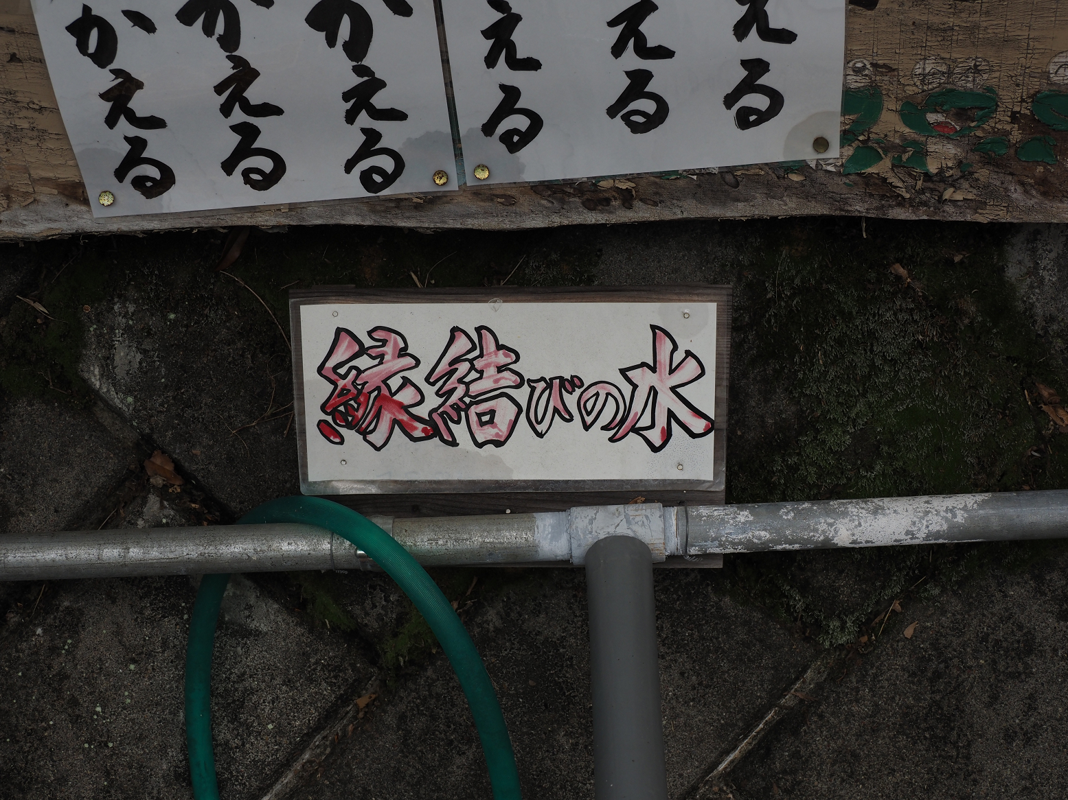 P5290117.jpg