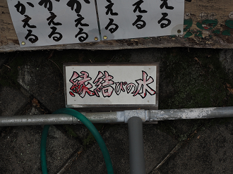 P5290117_thumb.png