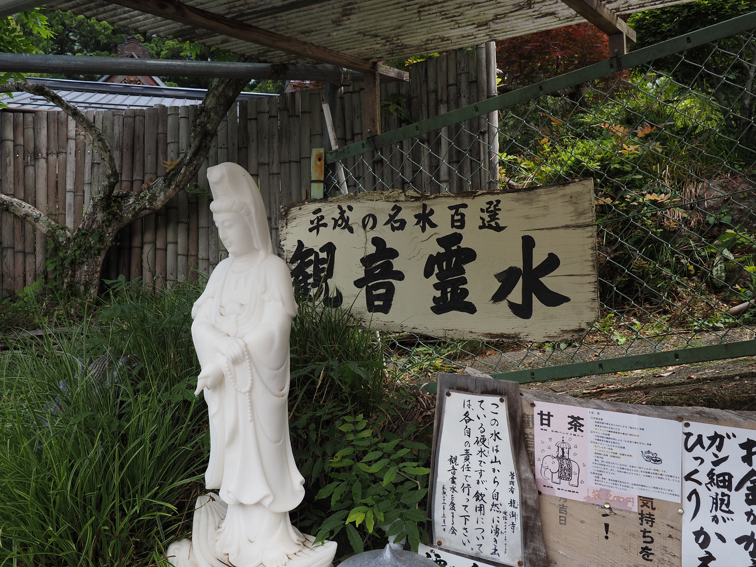 P5290120-01.jpg