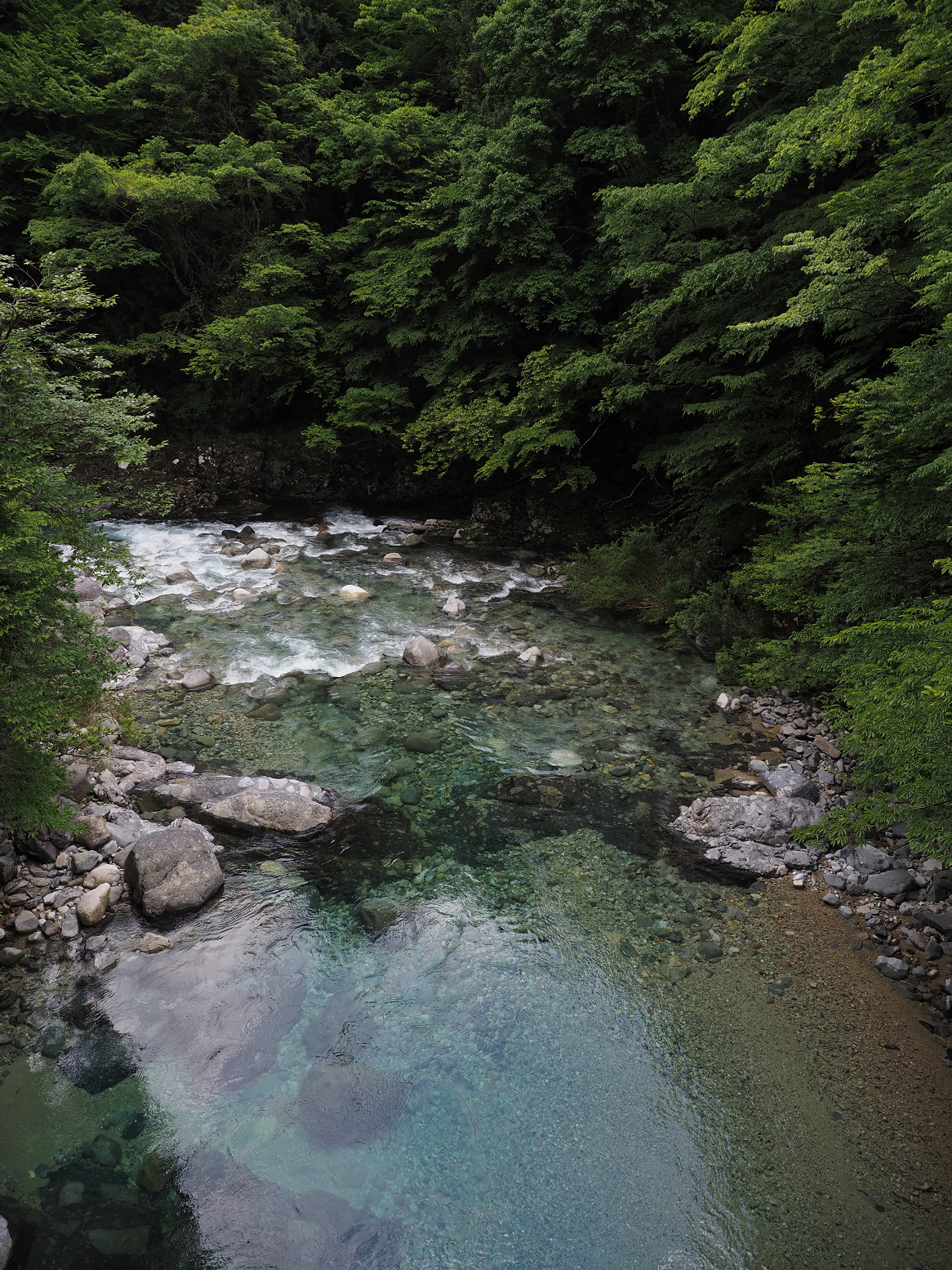 P5290140.jpg