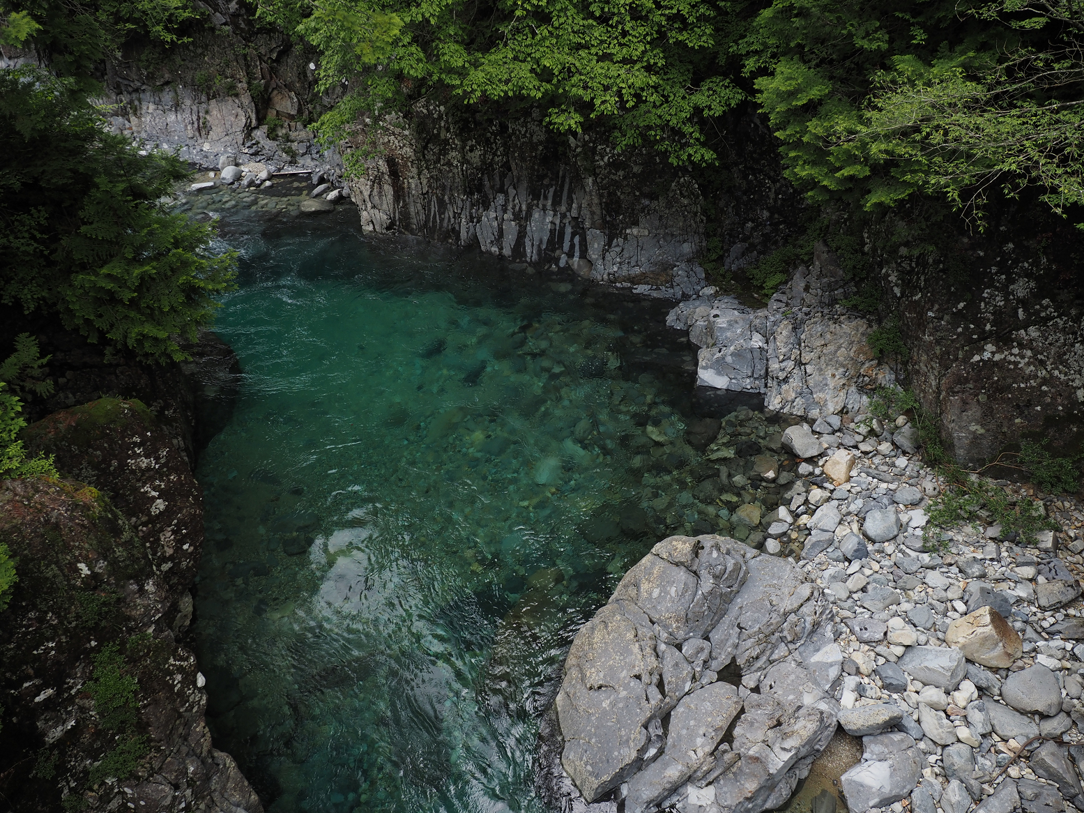 P5290141.jpg