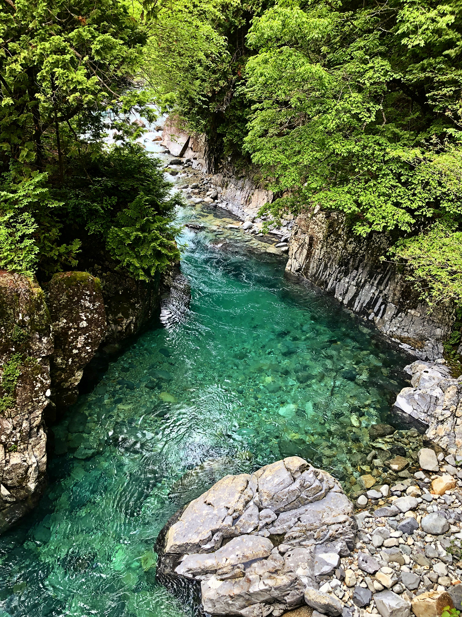P5290172-01.jpg