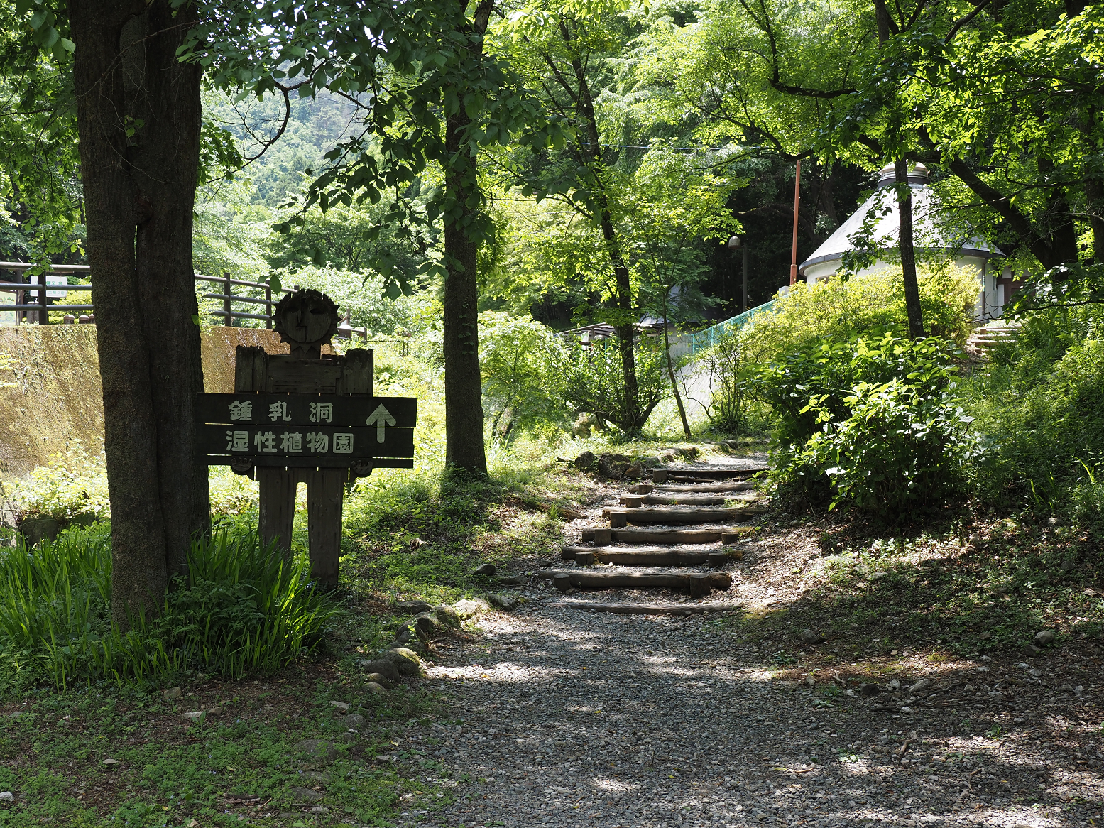 P5310203.jpg