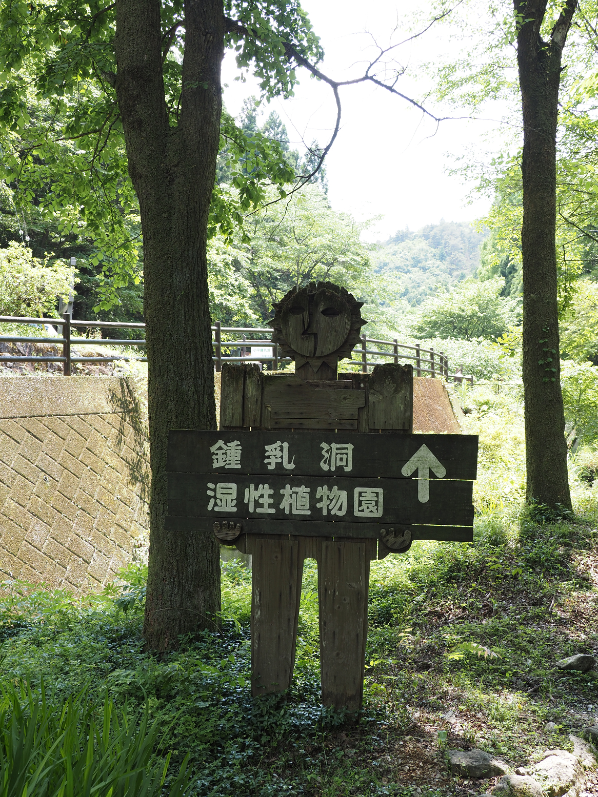 P5310204.jpg