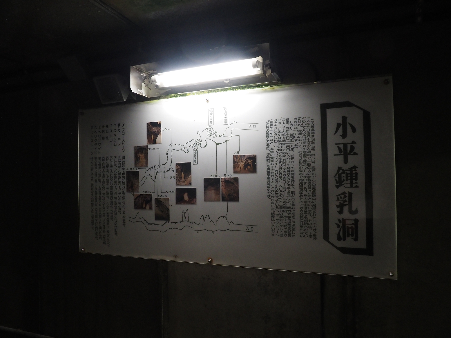P5310210.jpg