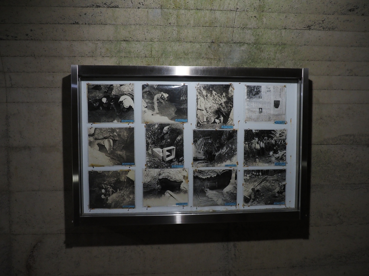 P5310234.jpg