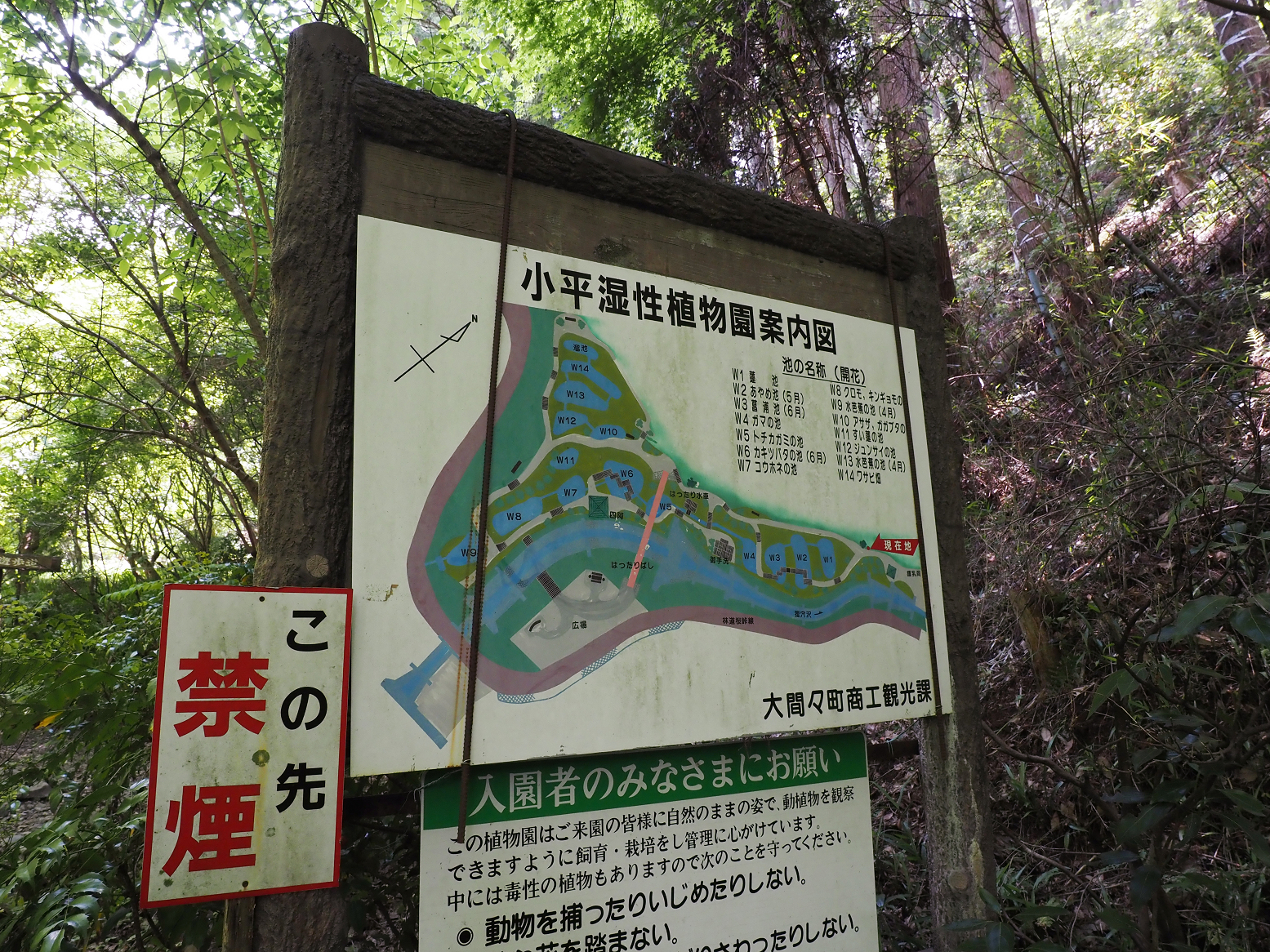 P5310256.jpg