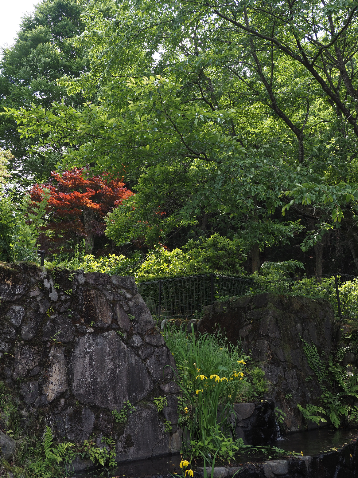 P5310262.jpg