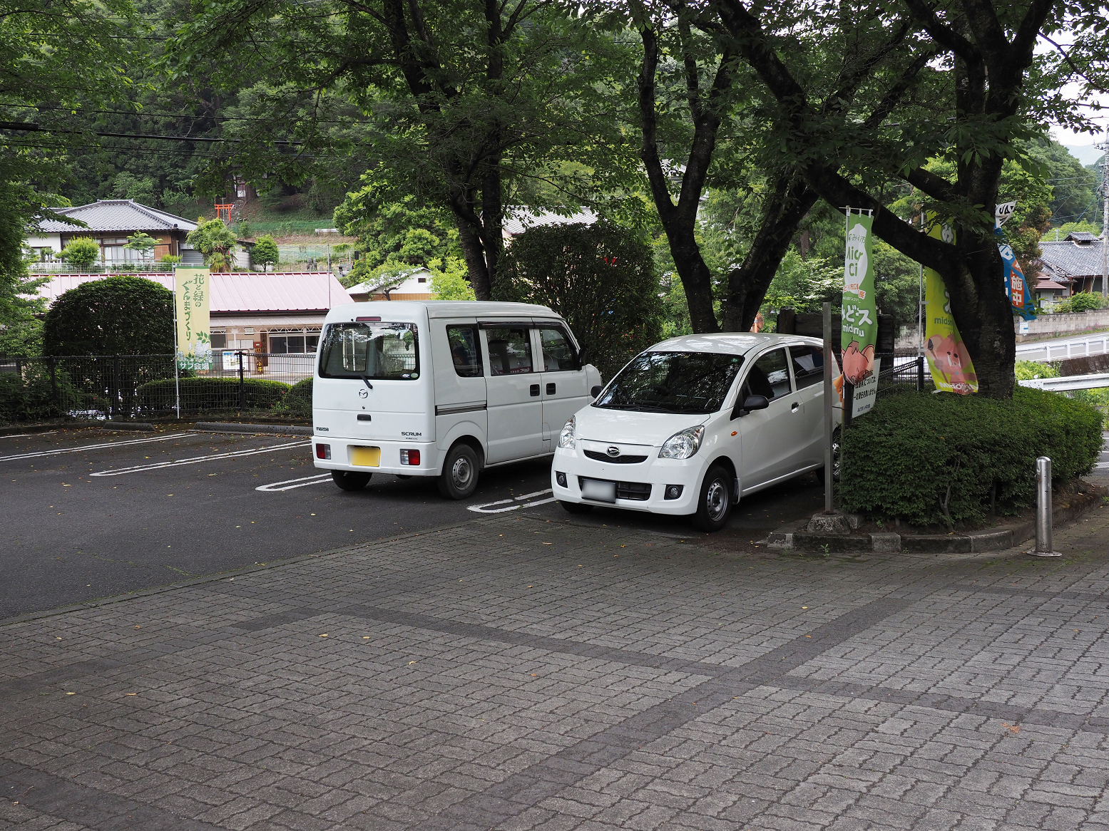 P5310266.jpg