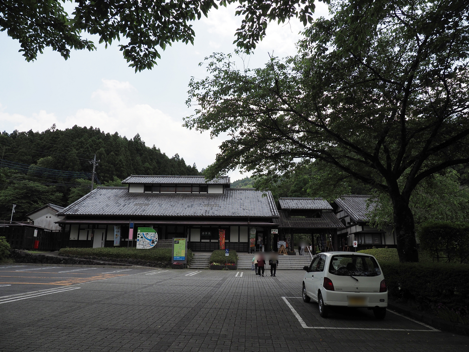 P5310269.jpg