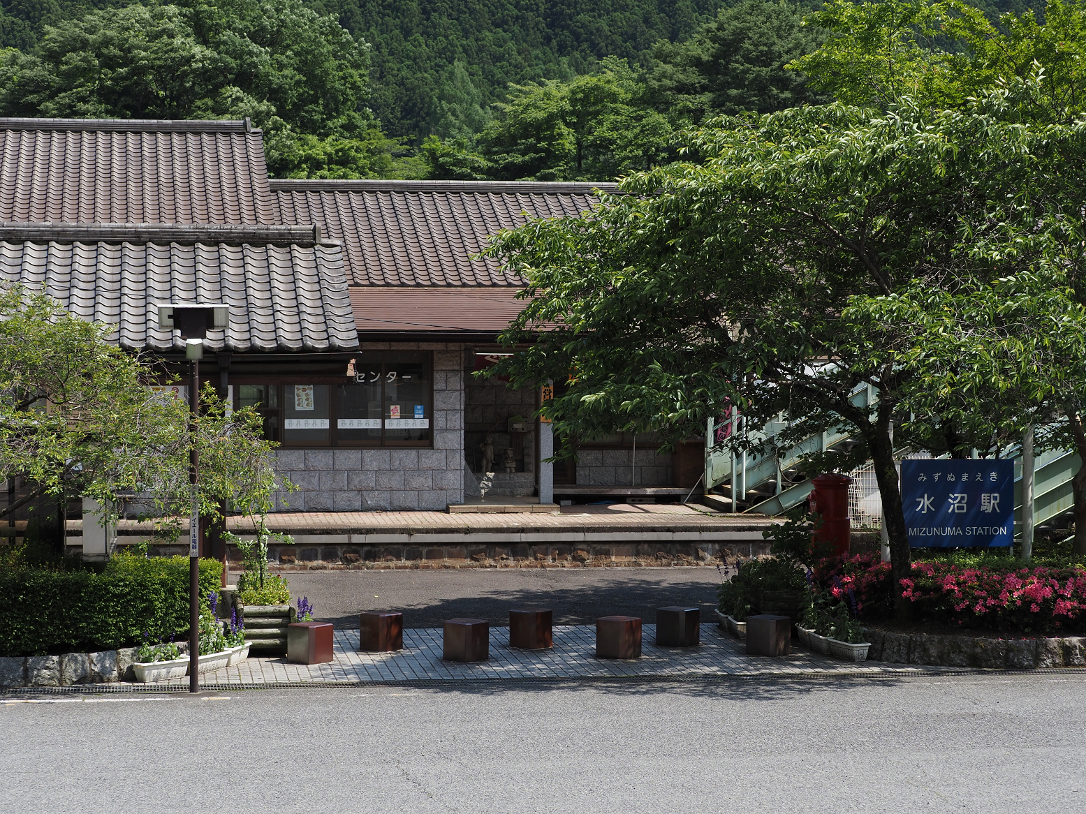 P5310318.jpg