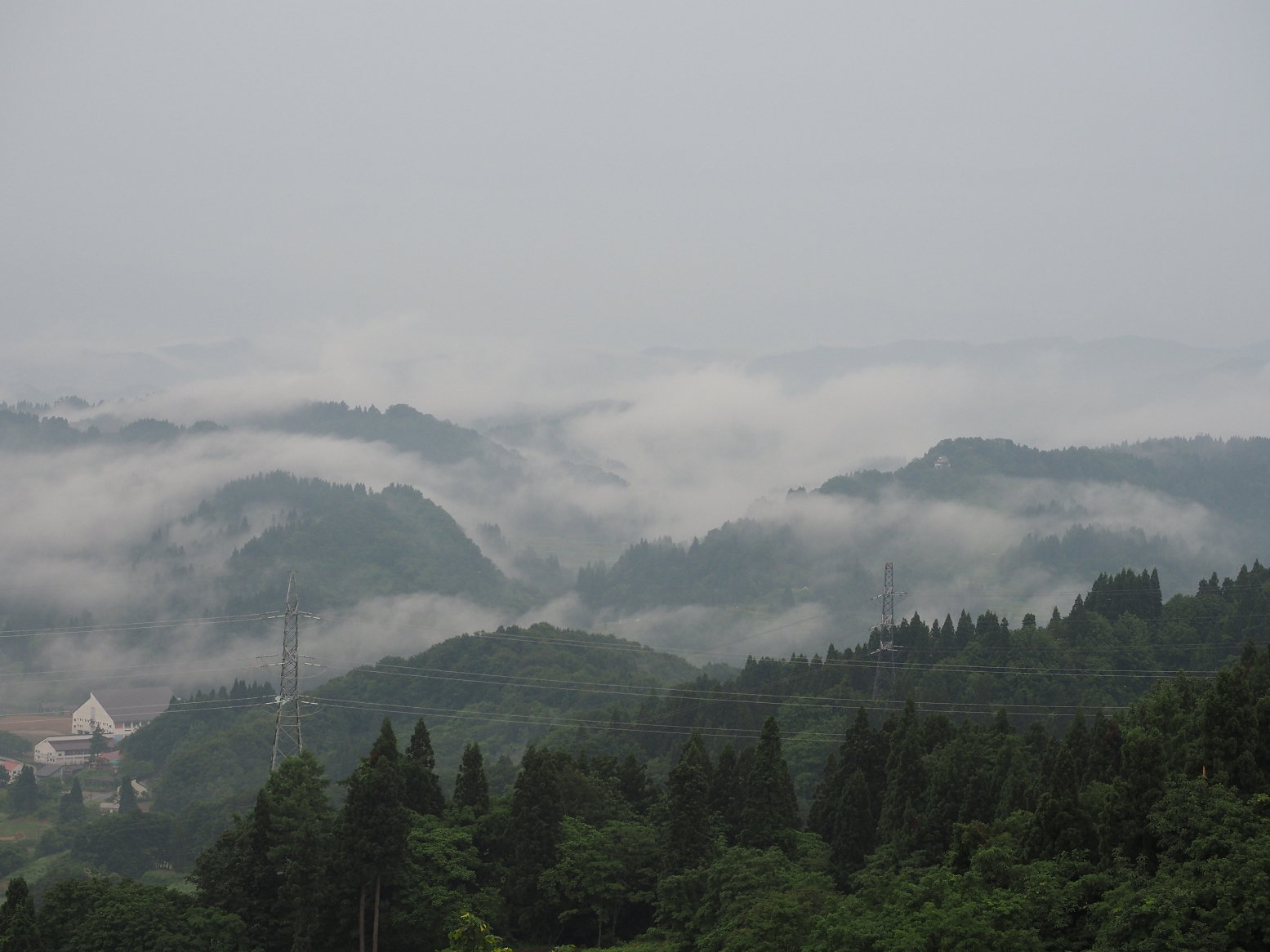 P6190001.jpg