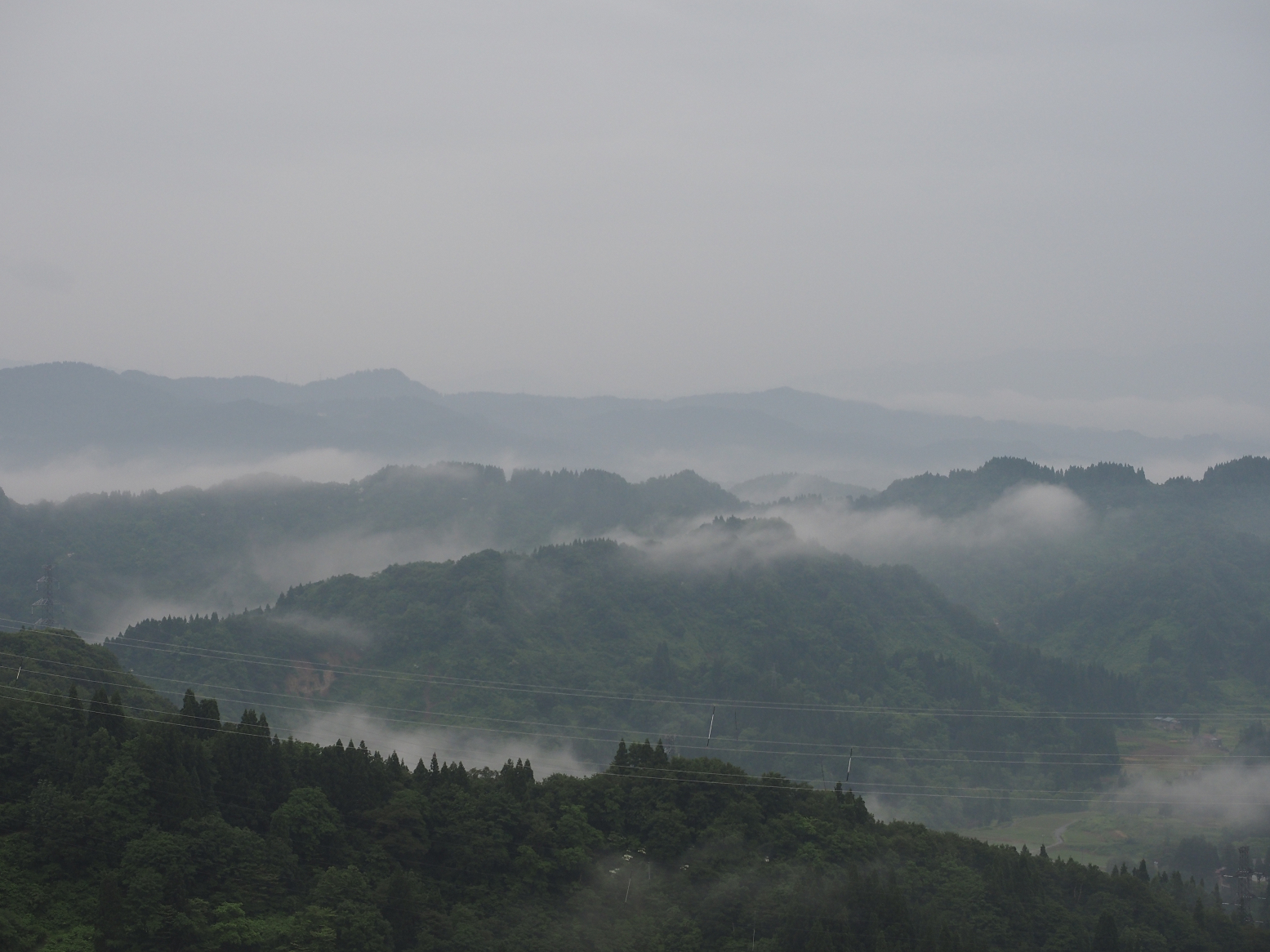 P6190002.jpg