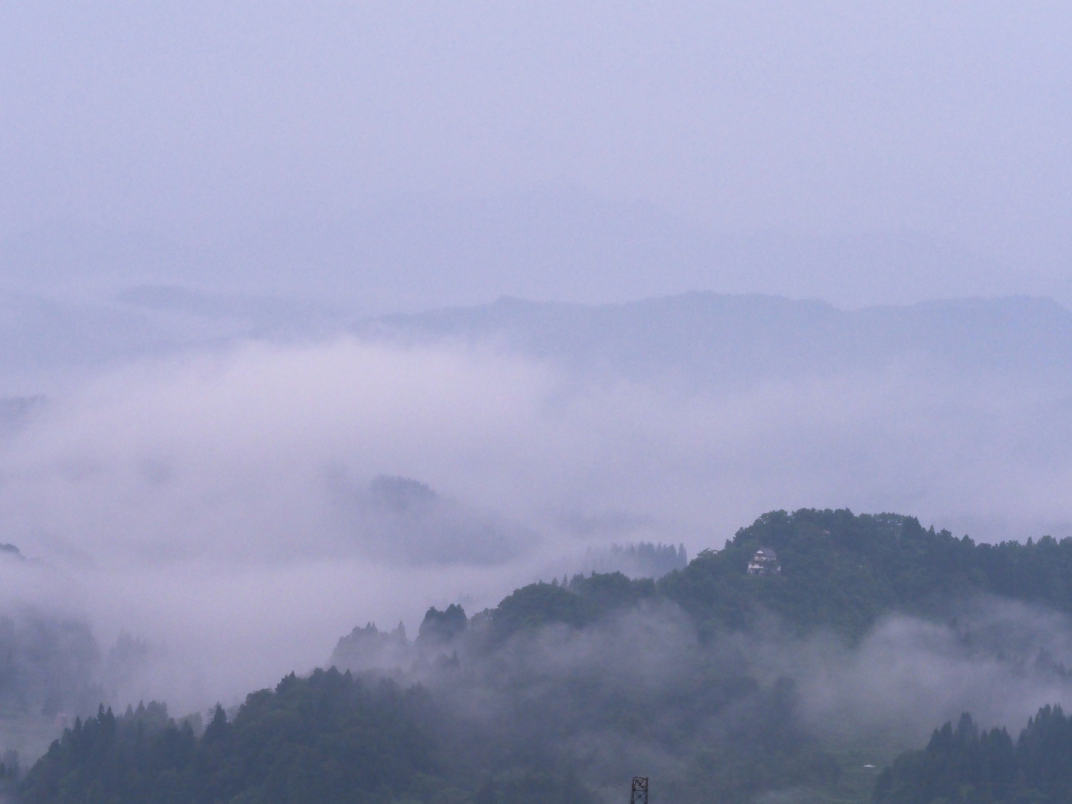 P6190004.jpg