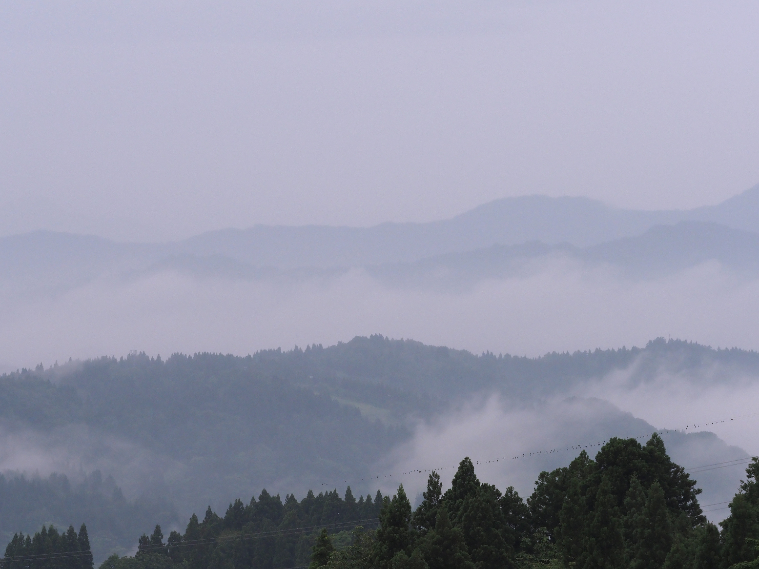 P6190006.jpg
