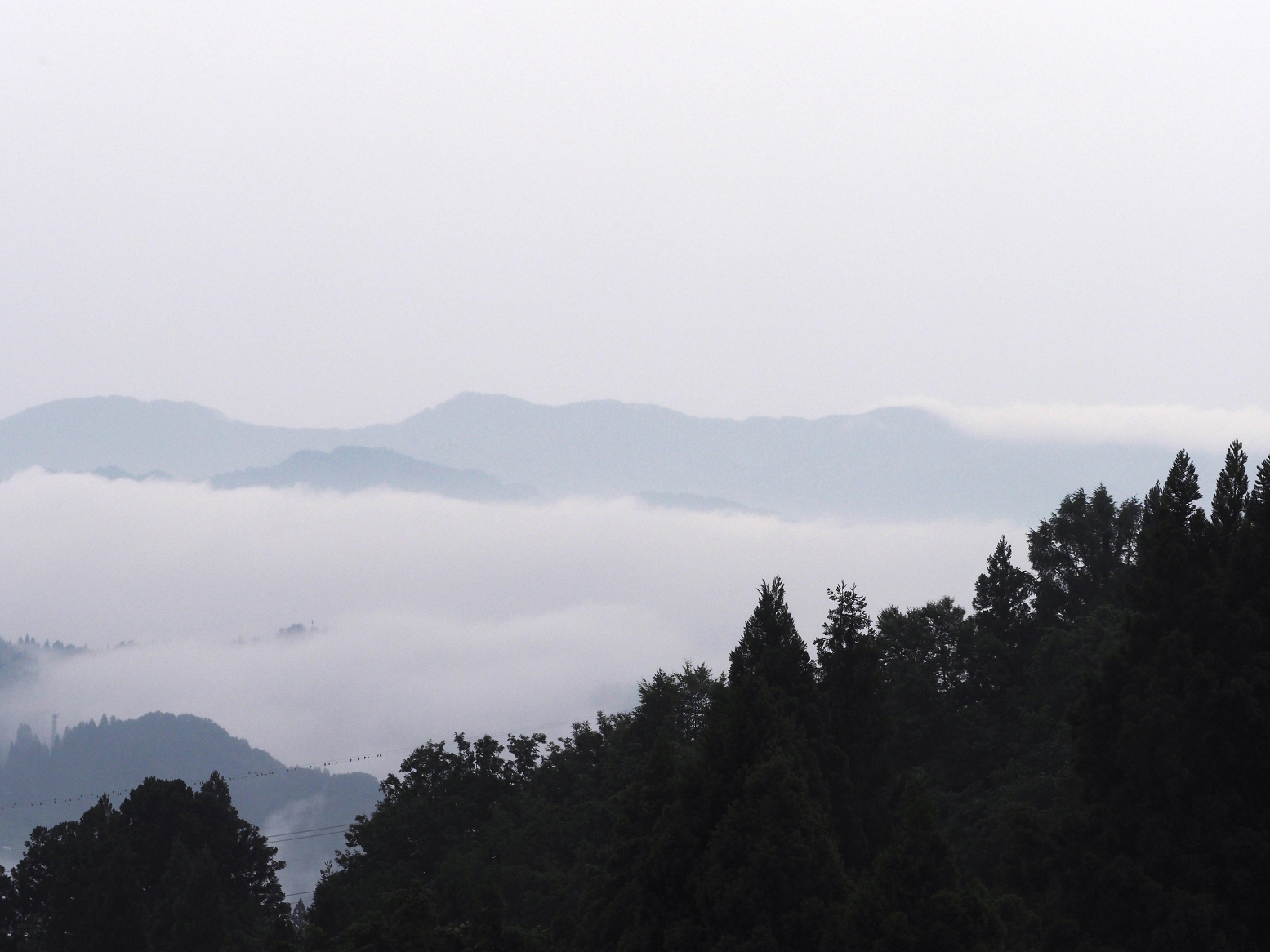 P6190013.jpg