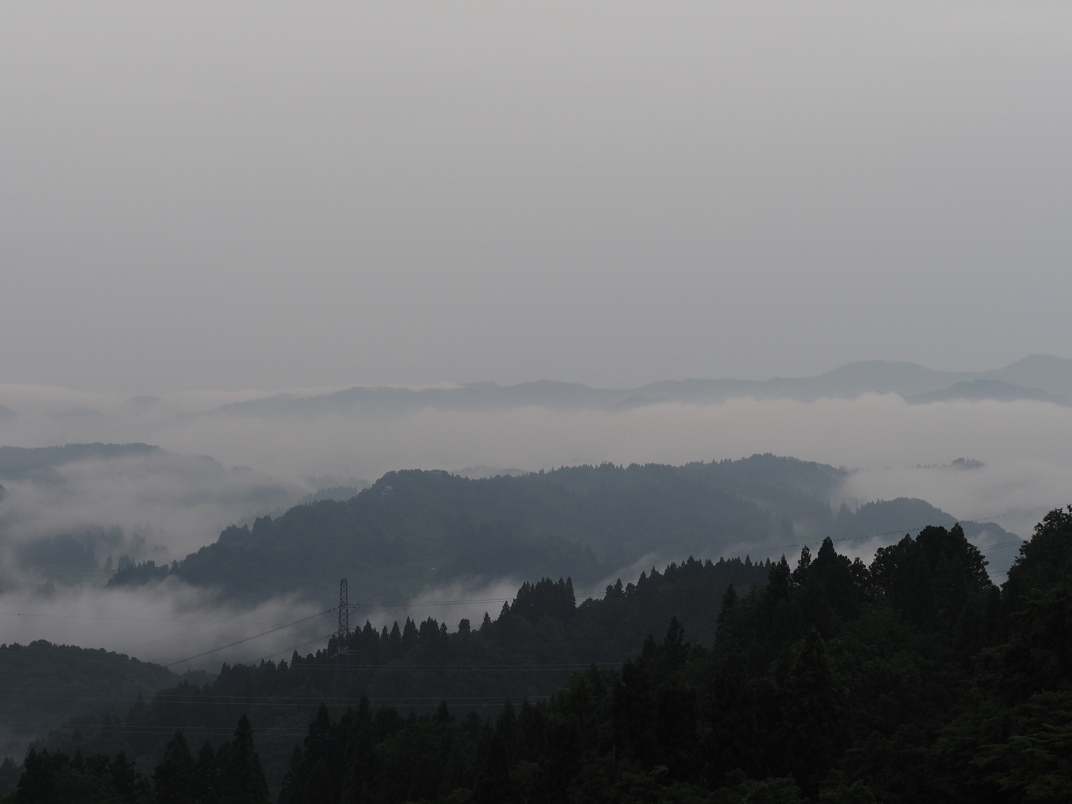 P6190015.jpg