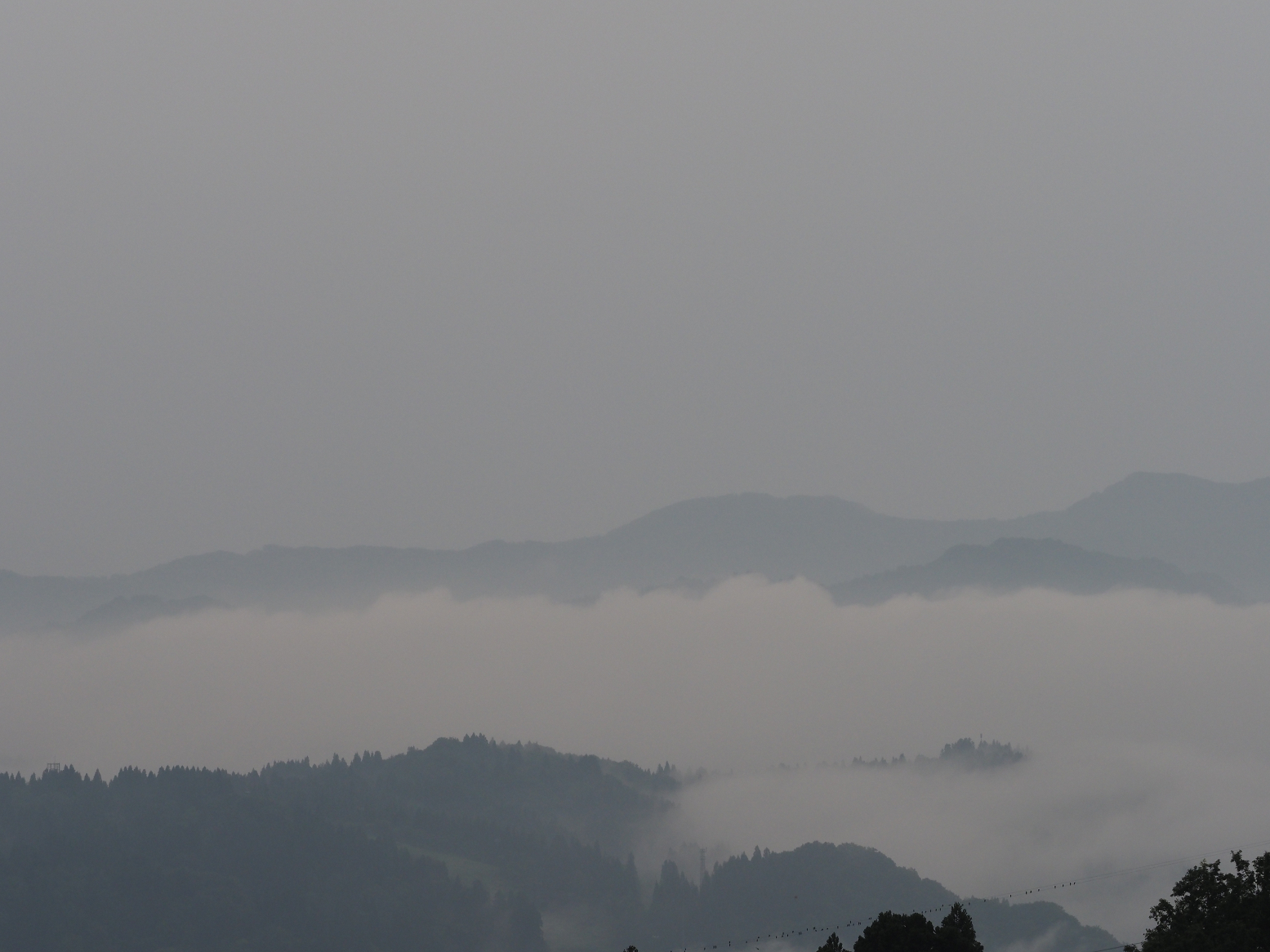 P6190016.jpg