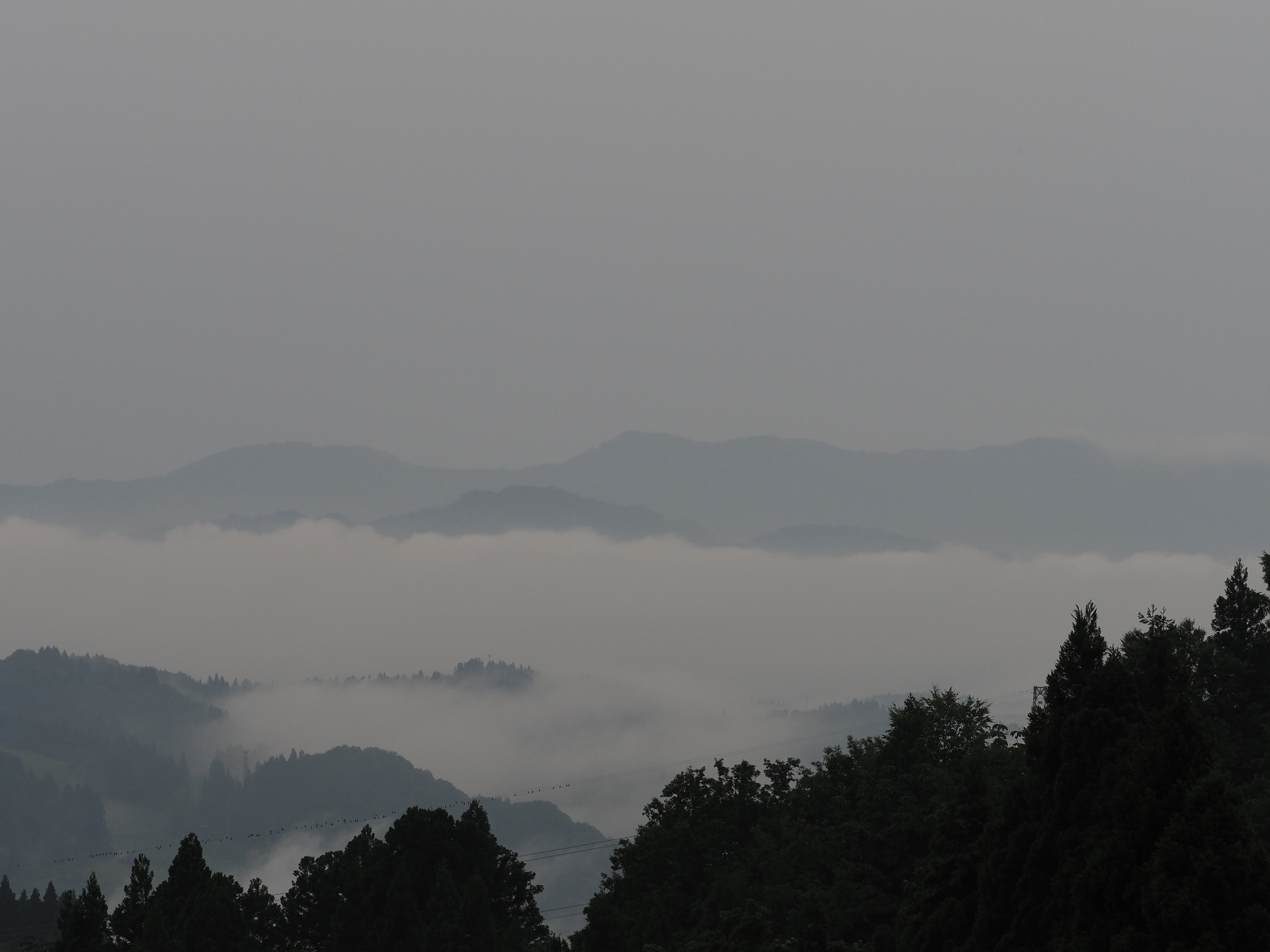 P6190017.jpg