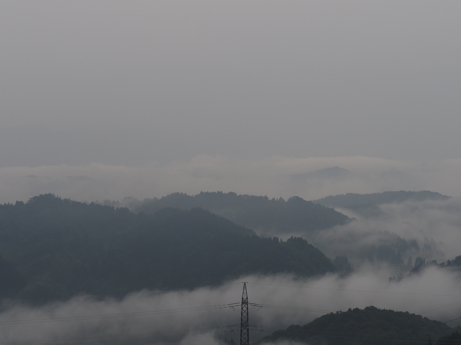 P6190020.jpg