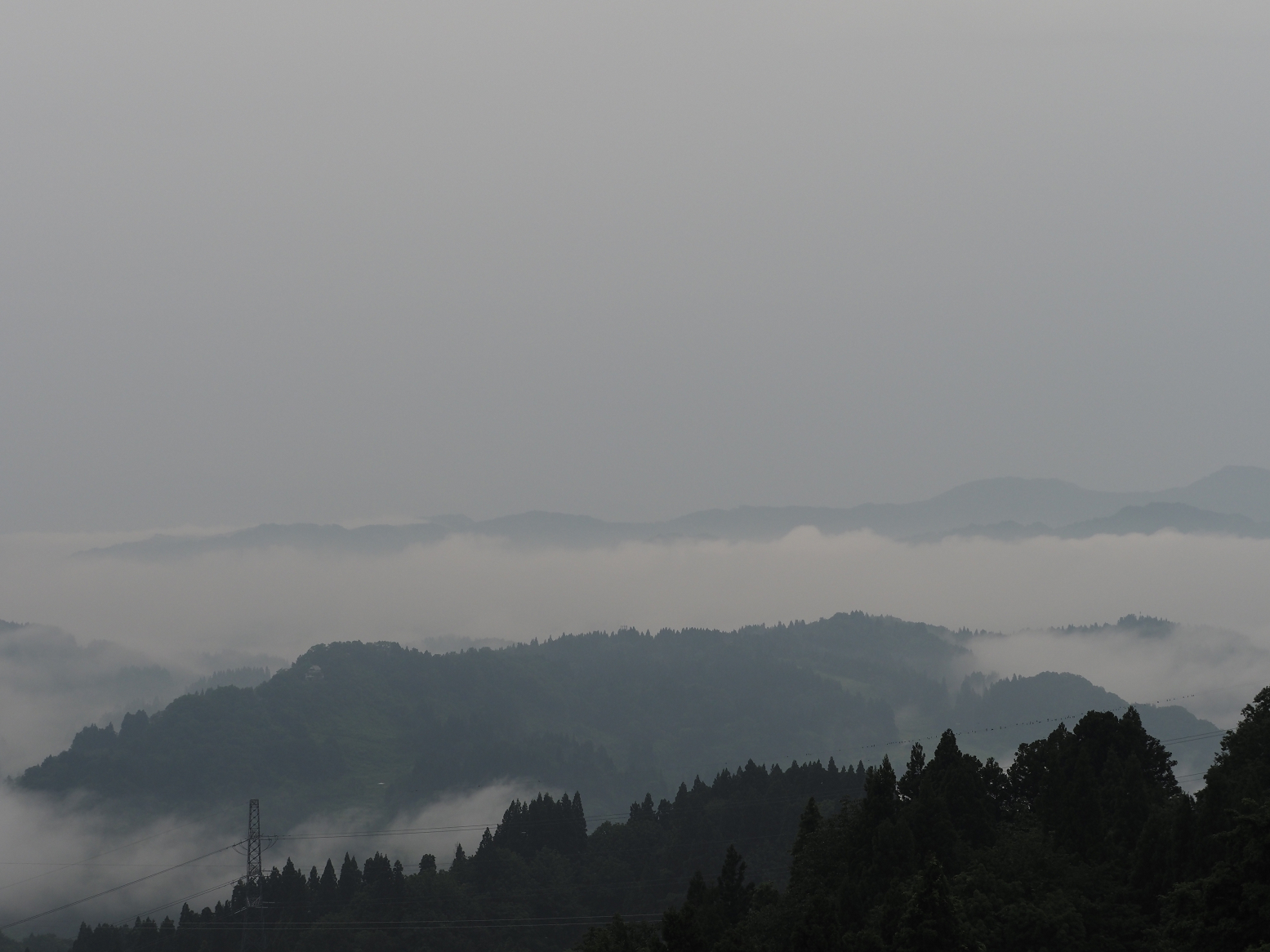 P6190022.jpg
