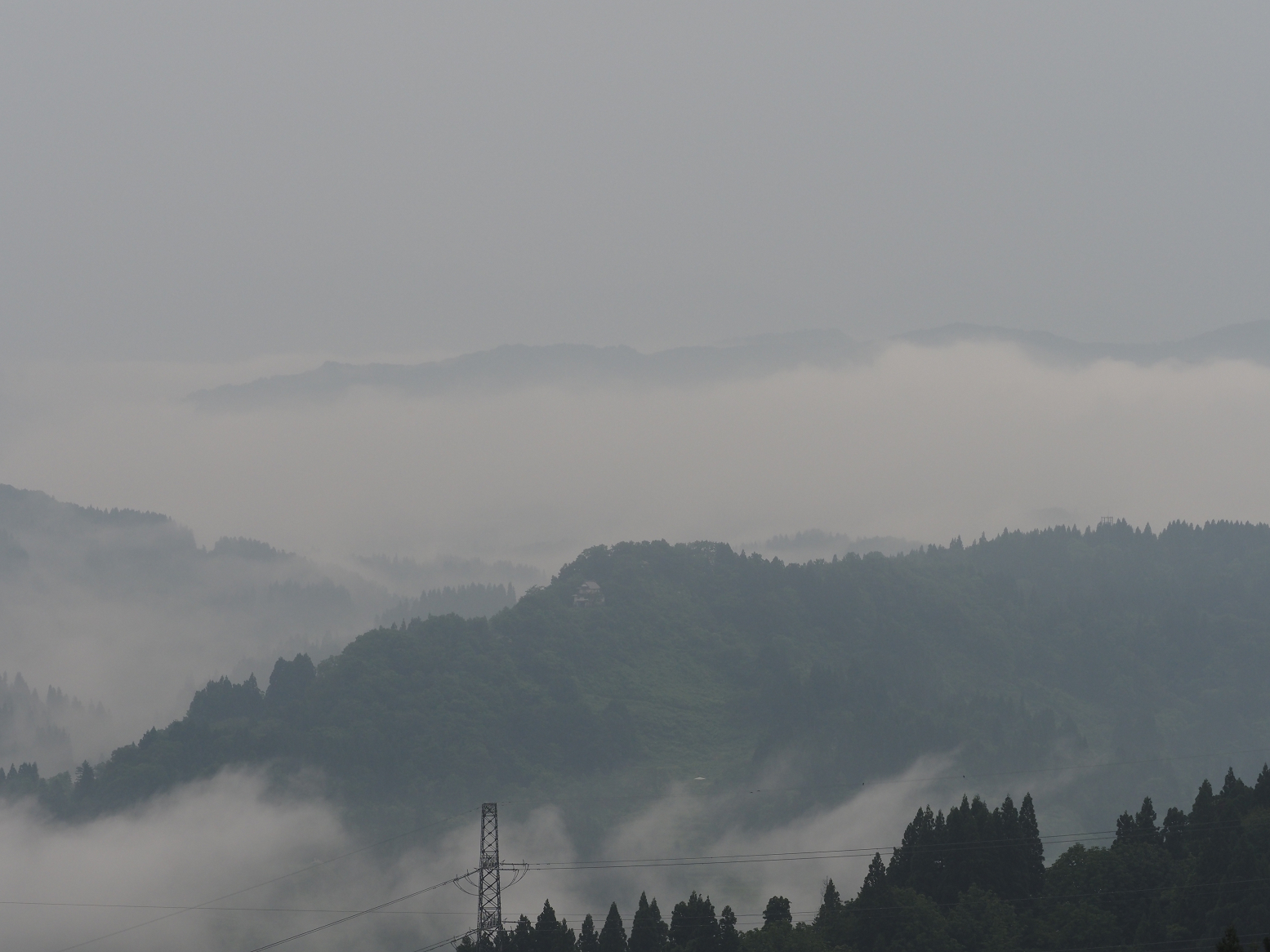 P6190030.jpg