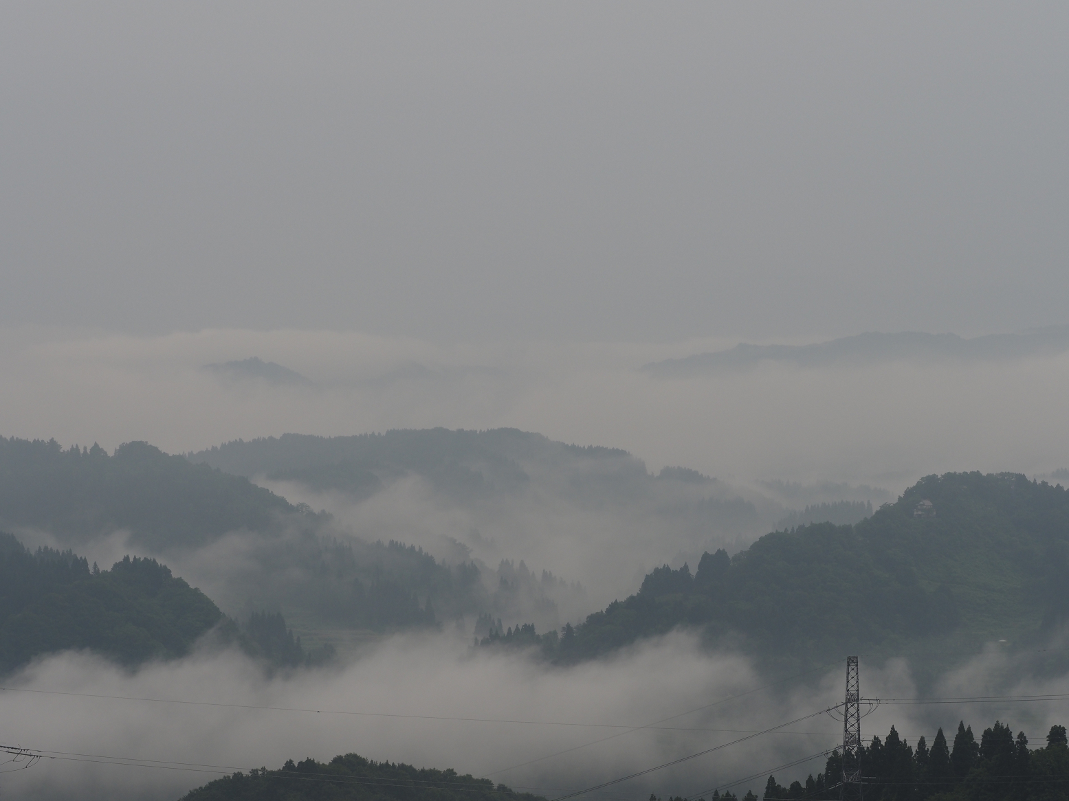 P6190031.jpg