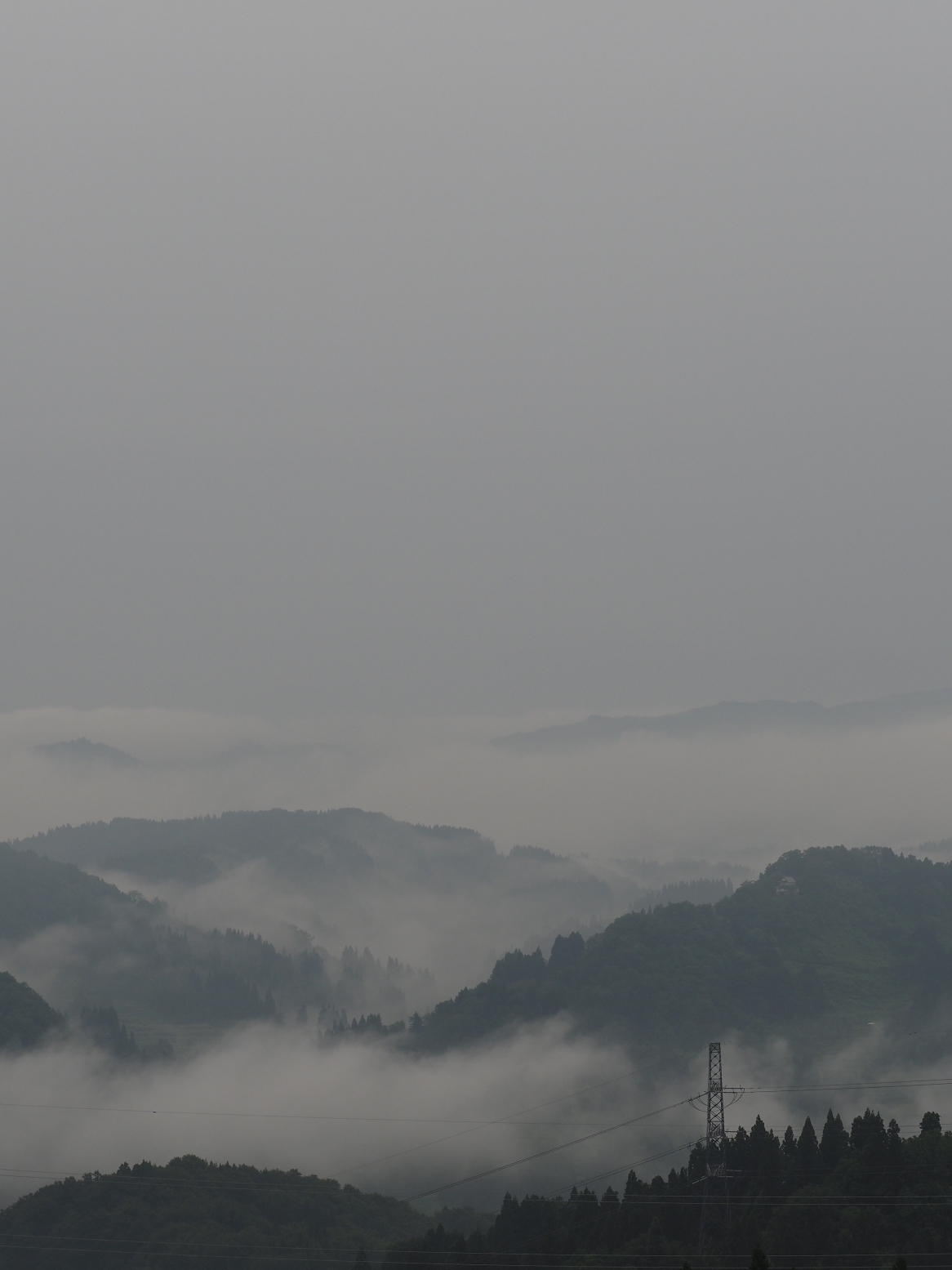 P6190032.jpg