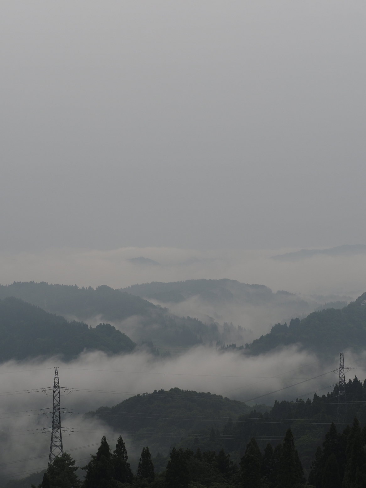 P6190033.jpg