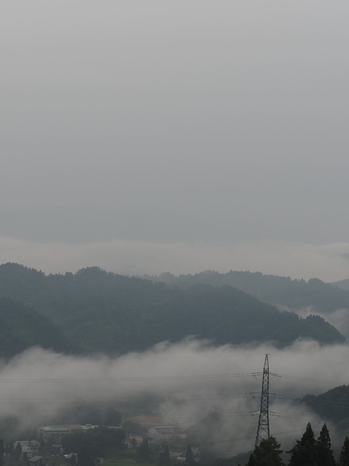 P6190034.jpg