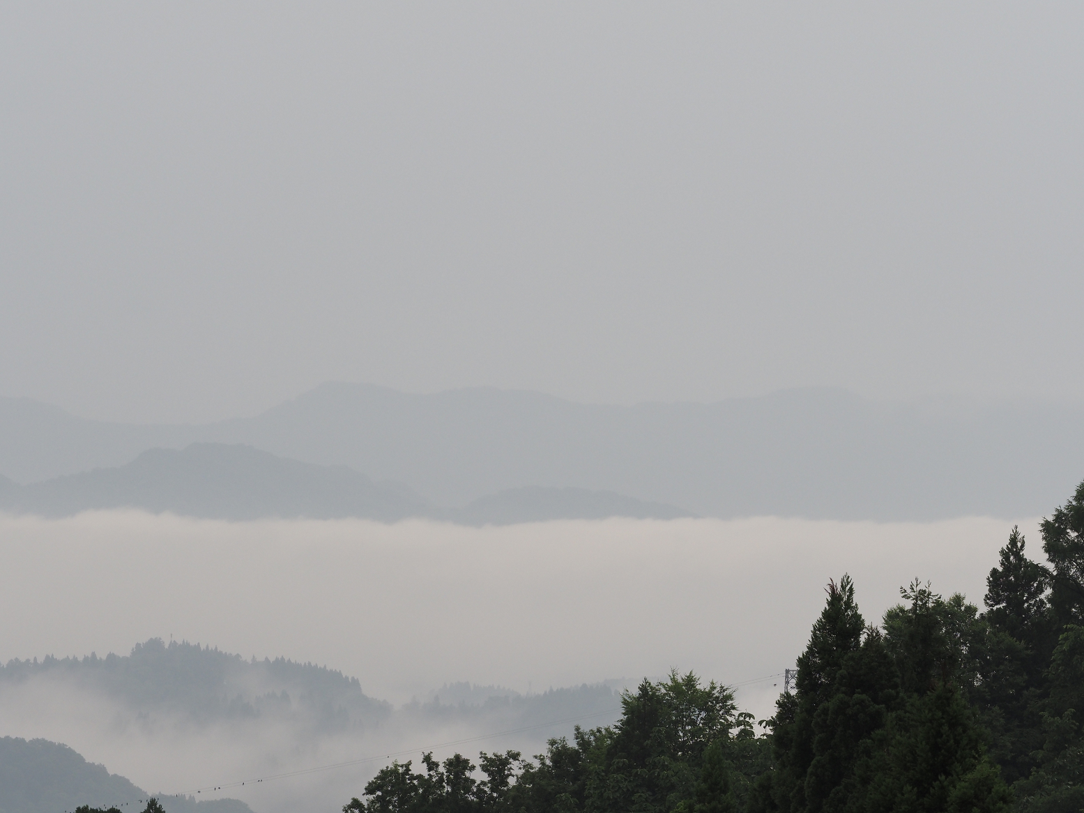 P6190036.jpg