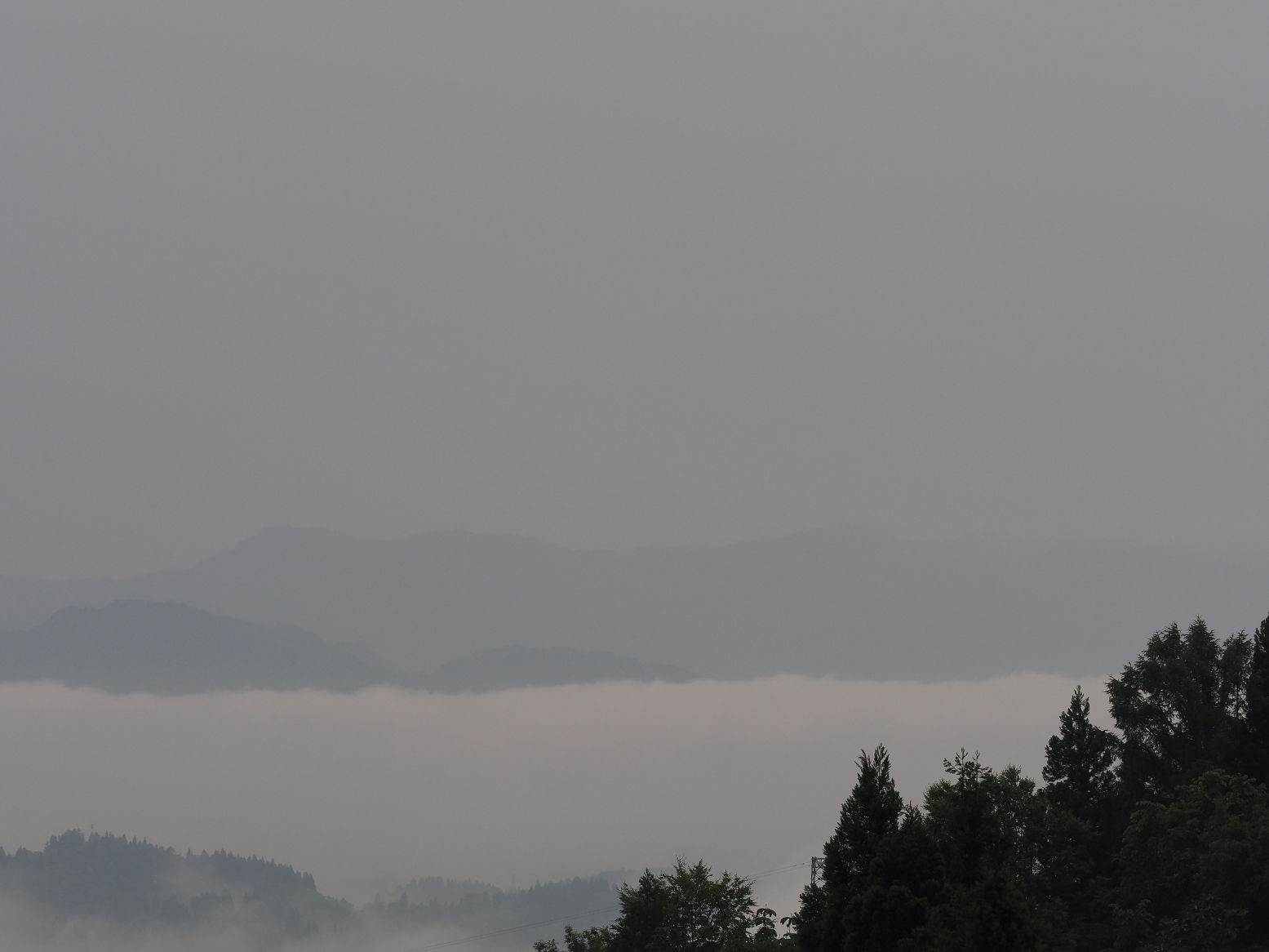 P6190037.jpg